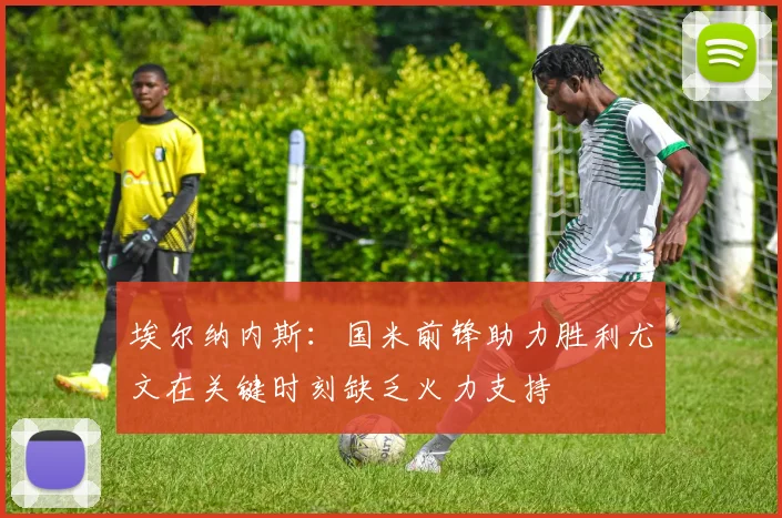 埃尔纳内斯：国米前锋助力胜利尤文在关键时刻缺乏火力支持
